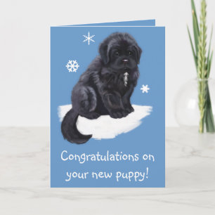 Congratulations on Your New Puppy Card