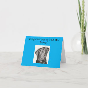 Congratulations On Your New Puppy! Greeting Card