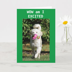 CONGRATULATIONS ON YOUR **PROMOTION** CARD