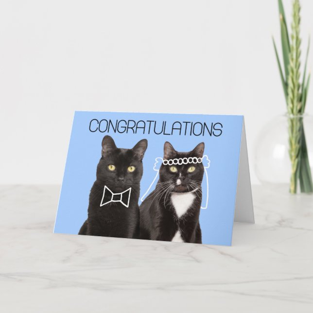 Congratulations on Your Wedding Cute Cat Couple Card (Front)
