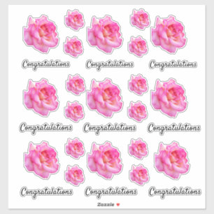 Congratulations Pink Variegated Rose Cutout Photo