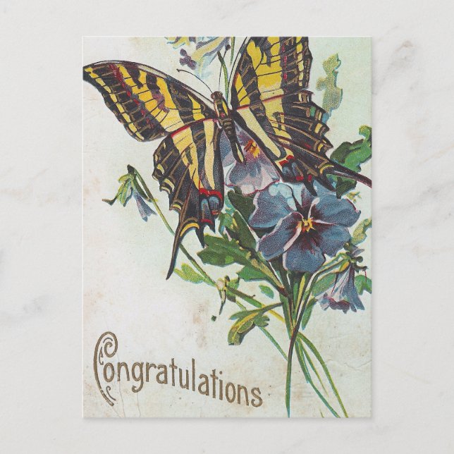 Congratulations Postcard (Front)