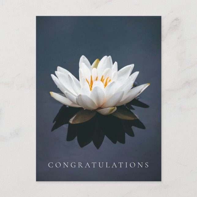 CONGRATULATIONS POSTCARD : LOTUS POSTCARD (Front)