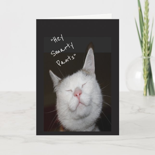 Congratulations Promotion Humour Kitten Animal Card (Front)