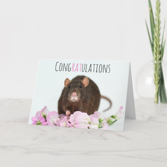 Congratulations Rat Card (Front)
