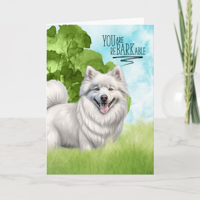 Congratulations reBARKable American Eskimo Dog Card (Front)