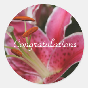 Congratulations stickers for gift giving