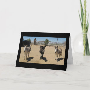 Congratulations Veterinary Graduate - Ranch Farm Card