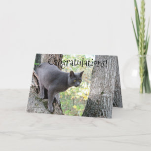 Congratulations Wish Card