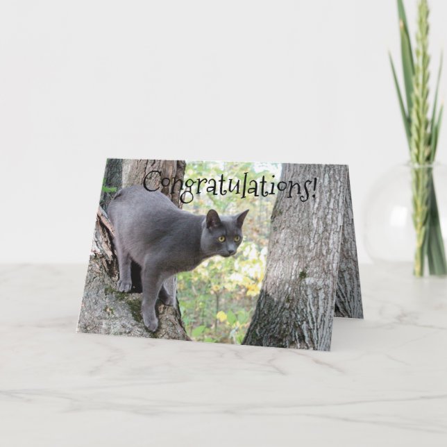 Congratulations Wish Card (Front)