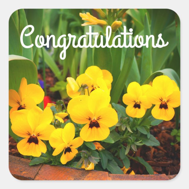Congratulations Yellow Pansy #1 Stickers (Front)