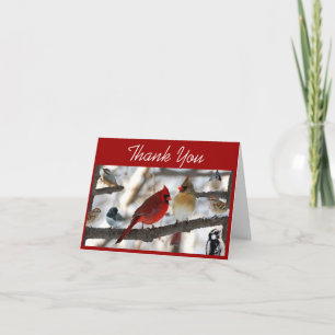 Congregating Birds Thank You Card