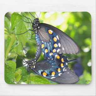 Congress, Arizona Pipevine Swallowtail Butterfly Mouse Pad