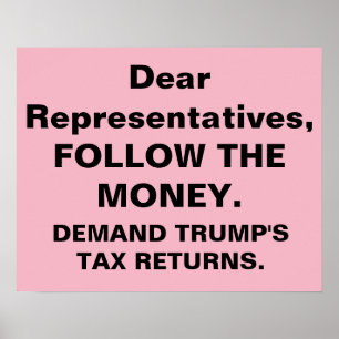 Congress Follow Money Trump Tax Returns Protest Poster