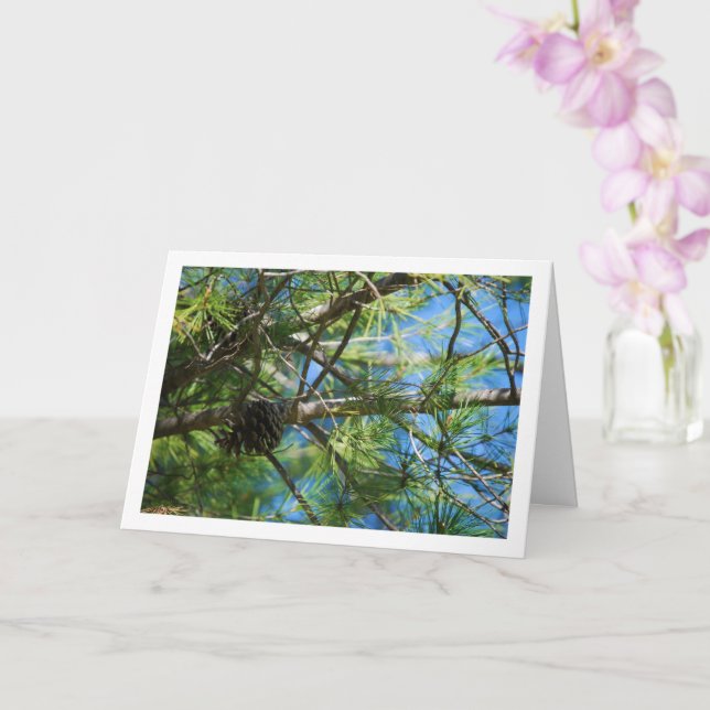 Conifer Cone on Pine Tree Card (Orchid)