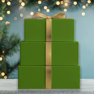 Conifer Green Wrapping Paper Sheet