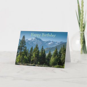 Coniferous Trees with Mountain Background Card