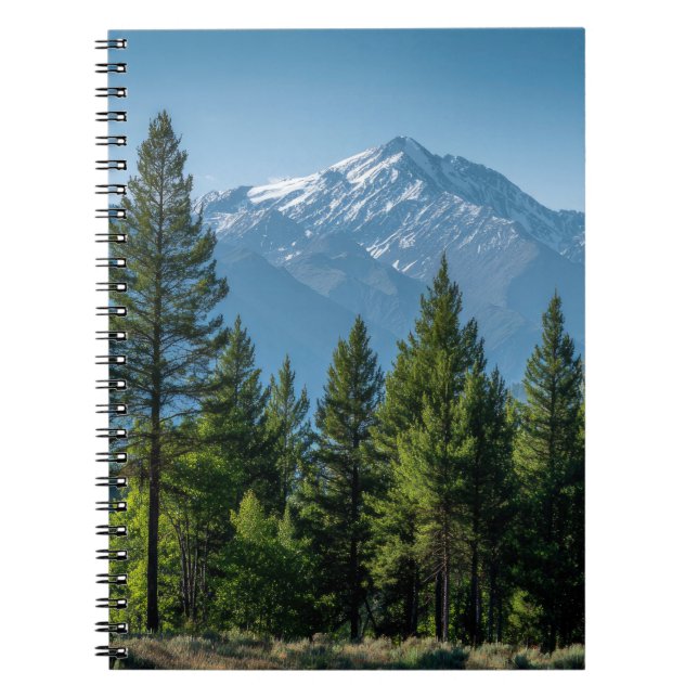 Coniferous Trees with Mountain Background Notebook (Front)
