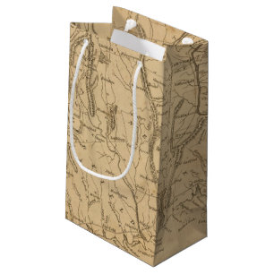 Connecticut 12 small gift bag