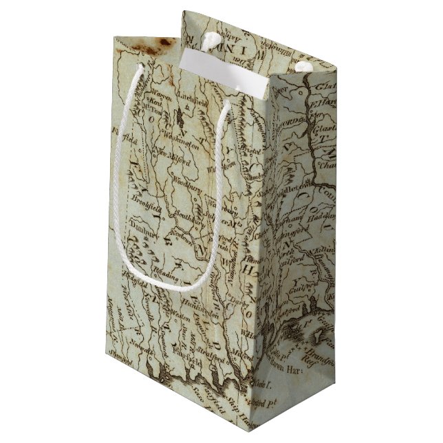 Connecticut 7 small gift bag (Back Angled)