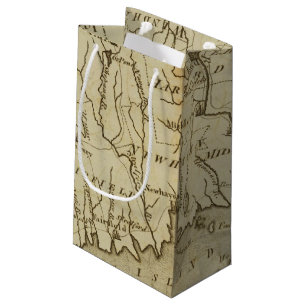 Connecticut 8 small gift bag