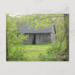 Connecticut Barn Post Card