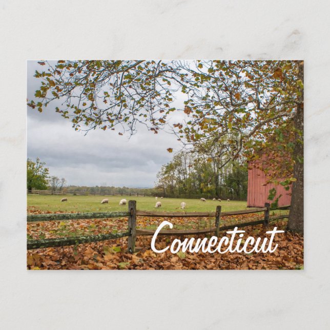 Connecticut Country Farm Postcard (Front)
