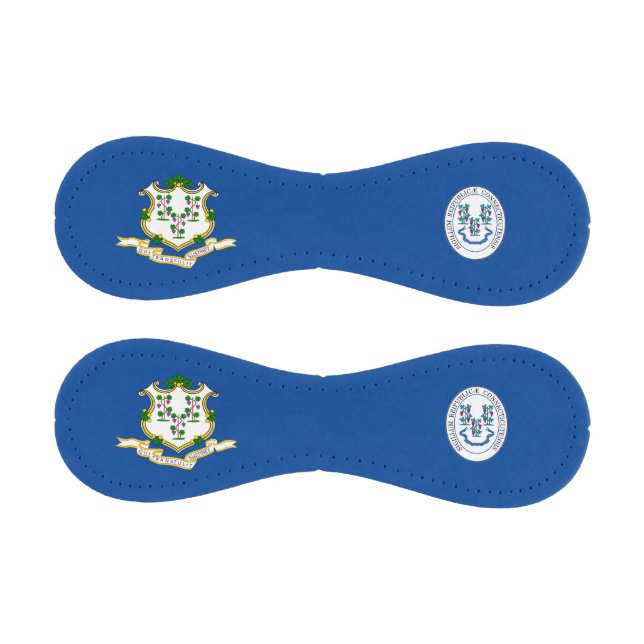 Connecticut flag baseball (Panels)