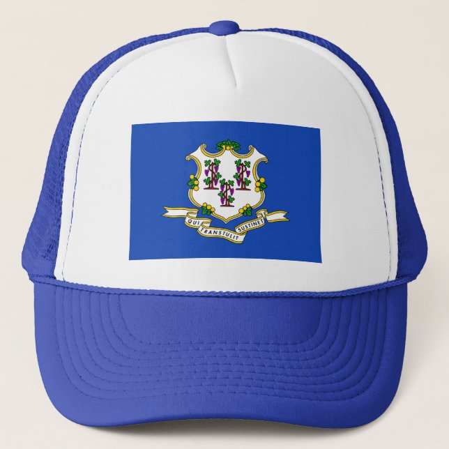 Connecticut Flag Hat (Front)