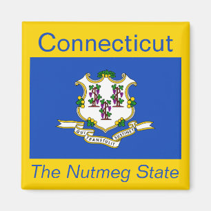 Connecticut Flag Magnet