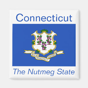 Connecticut Flag Magnet