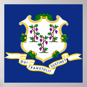 Connecticut flag poster