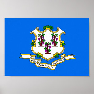 Connecticut Flag Poster