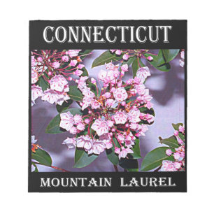 Connecticut Mountain Laurel Notepad
