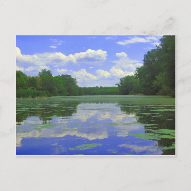 Connecticut  Postcard (Front)