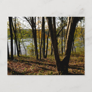 Connecticut River Postcard