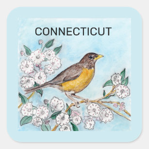Connecticut state bird and flower square sticker