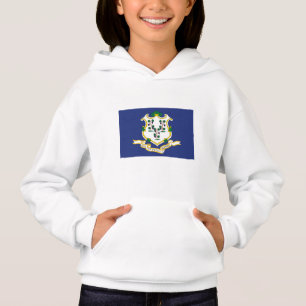 Connecticut State Flag