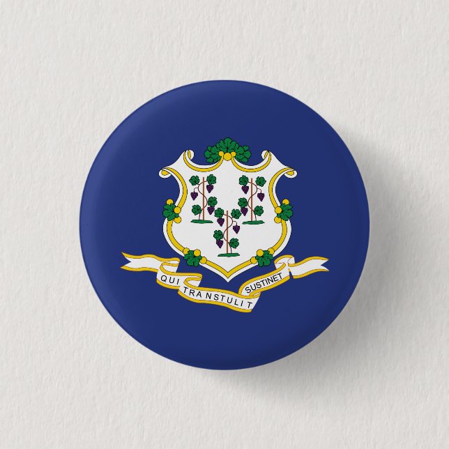 Connecticut State Flag 3 Cm Round Badge (Front)