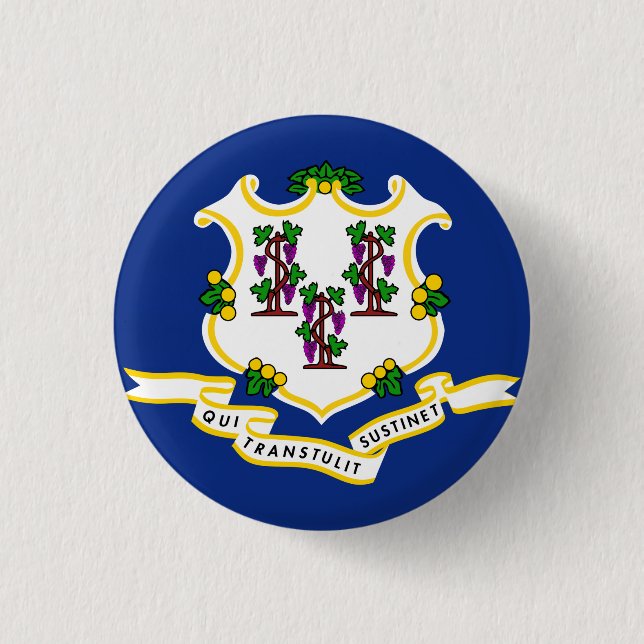 Connecticut State Flag 3 Cm Round Badge (Front)