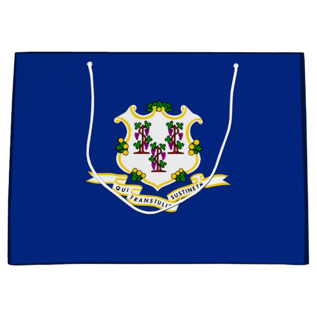 Connecticut State Flag Design Large Gift Bag (Front)