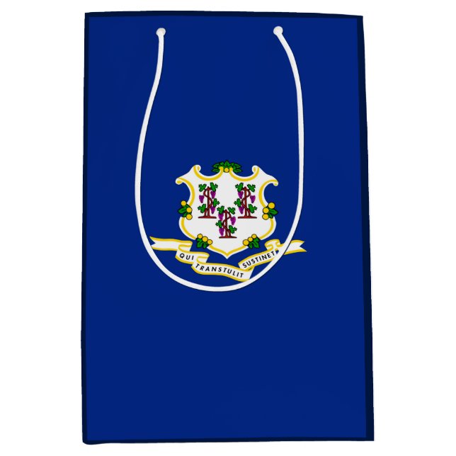 Connecticut State Flag Design Medium Gift Bag (Front)