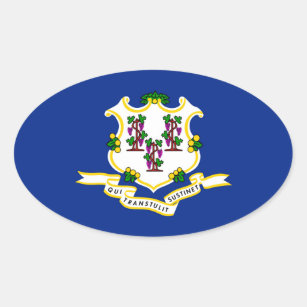 Connecticut State Flag Design Oval Sticker