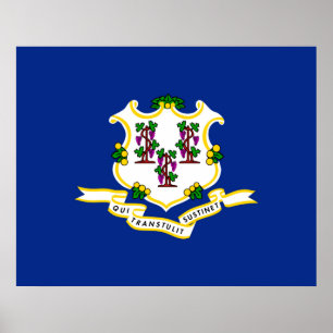 Connecticut State Flag Design Poster