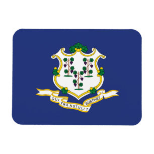 Connecticut State Flag Magnet