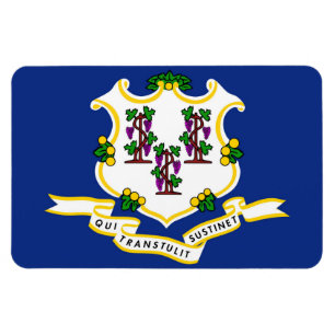 Connecticut State flag Magnet