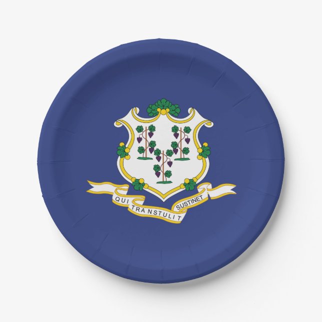 Connecticut State Flag Paper Plate (Front)