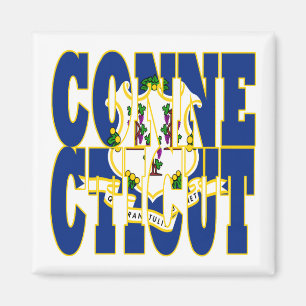 Connecticut state flag text magnet