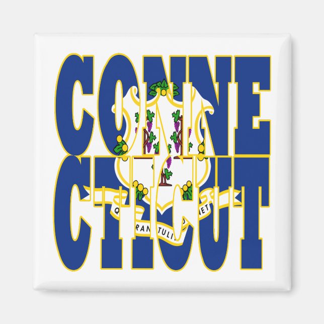 Connecticut state flag text magnet (Front)