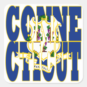 Connecticut state flag text square sticker